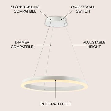 Baxter Modern Contemporary Aluminum Integrated LED Hoop Pendant